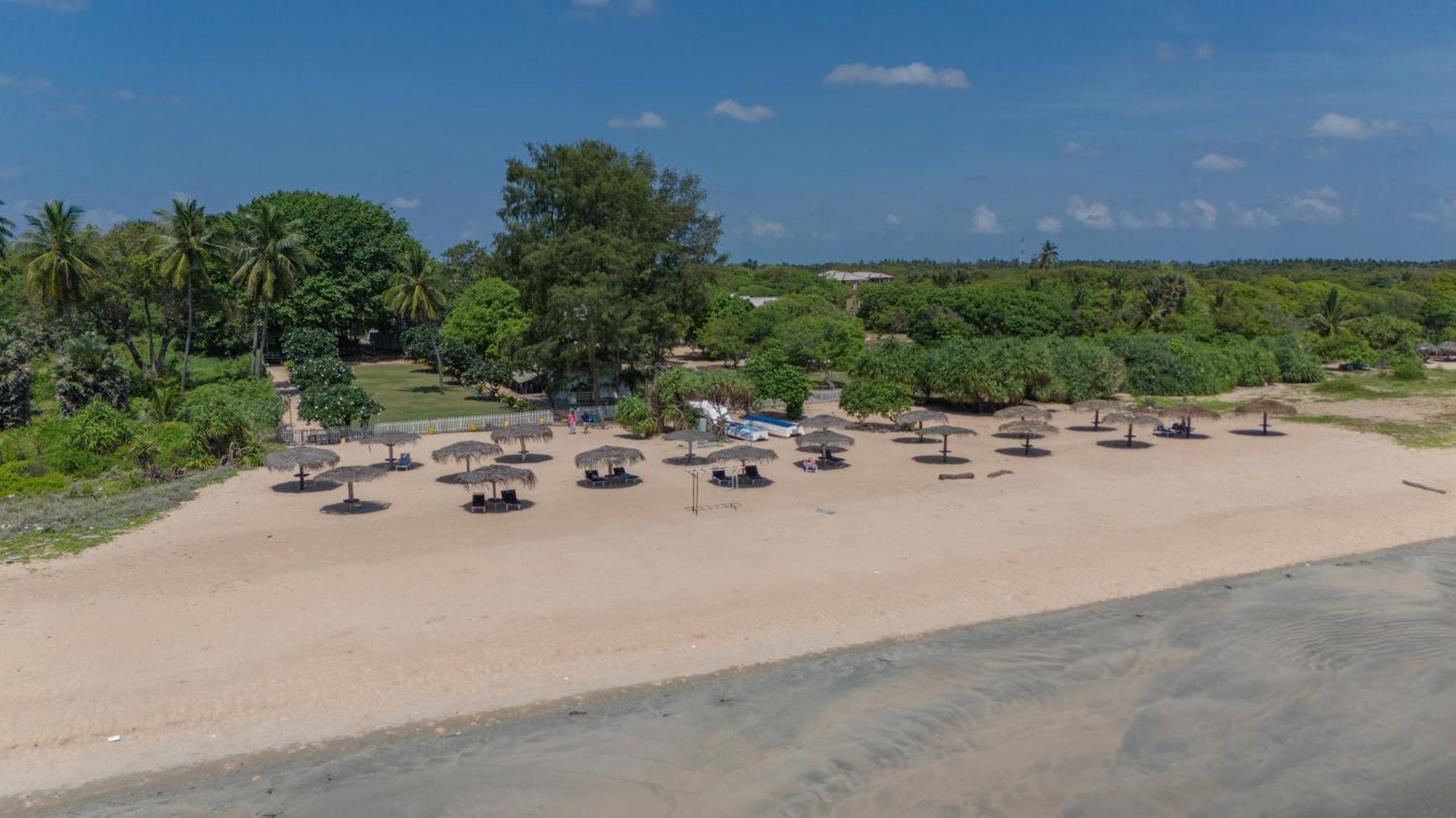 Pigeon Island Beach Resort And Spa Нилавели Экстерьер фото