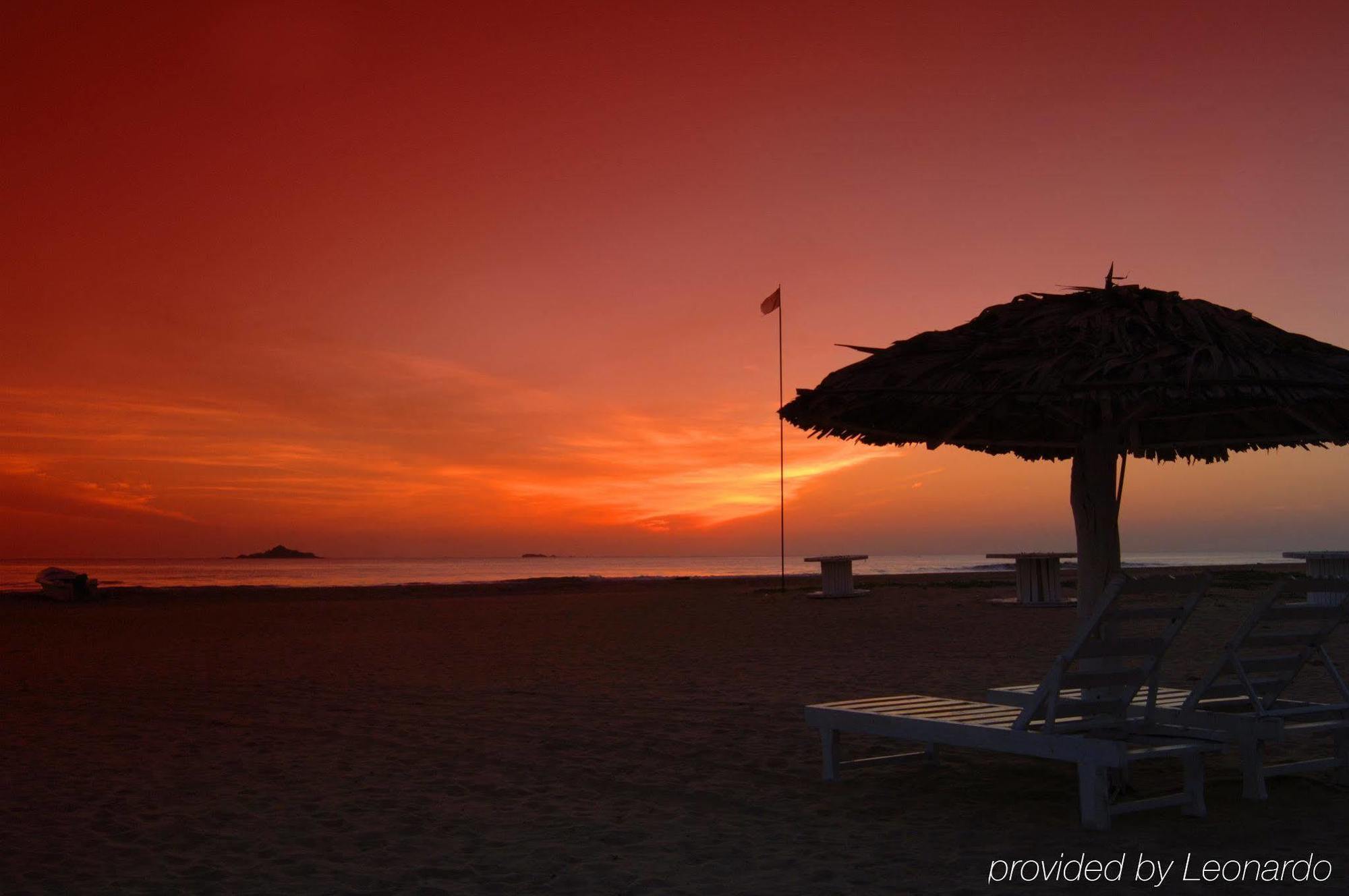 Pigeon Island Beach Resort And Spa Нилавели Удобства фото